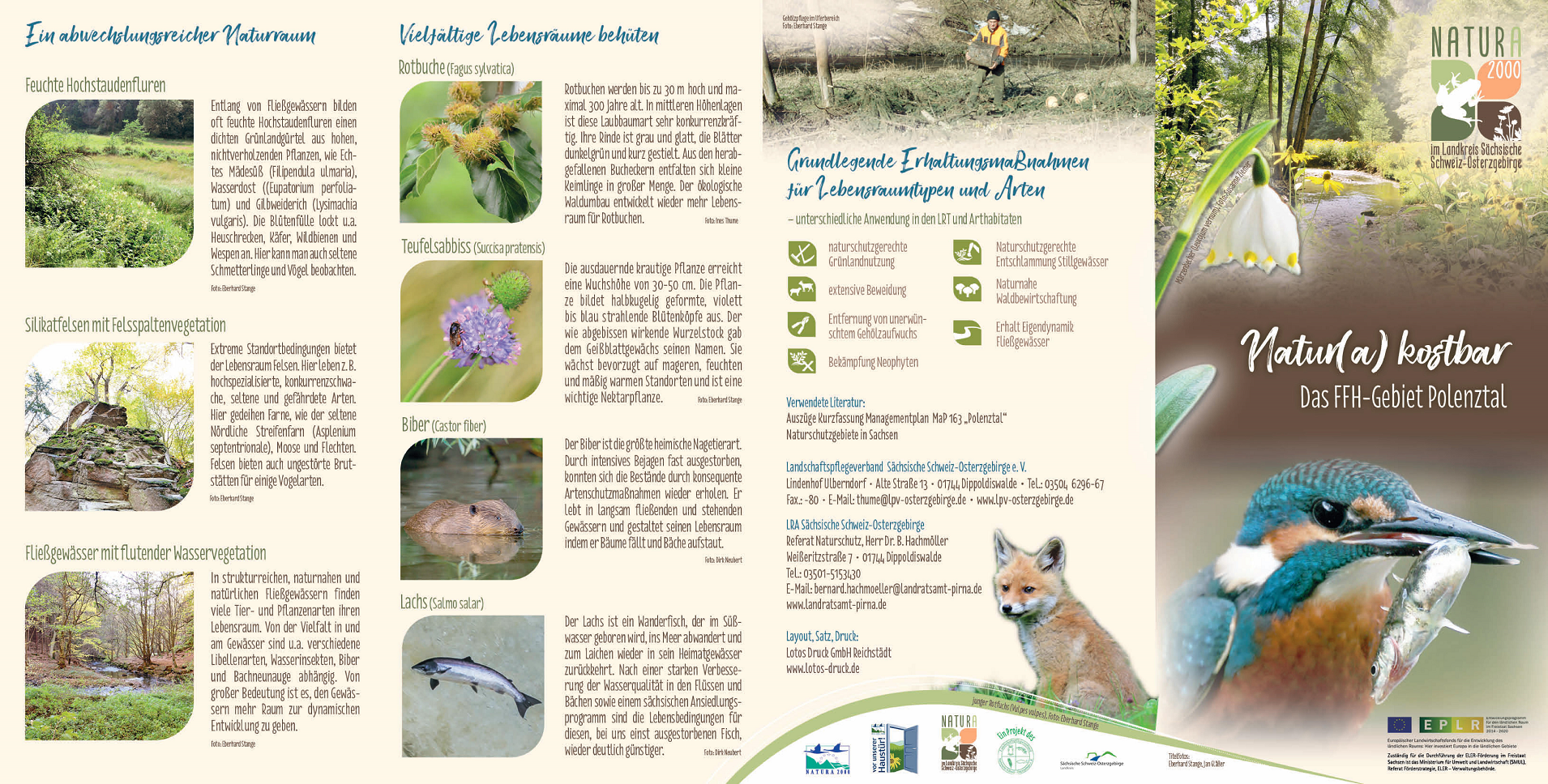 tl_files/downloads/Bilder Projekte/Projektstellen/Natura 2000 1.0/Flyer/FFH-Gebiet_Polenztal_1.png